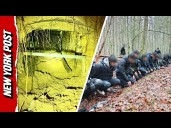 Over 180 Migrants Caught Passing Through Hidden Tunnel in Belarus Forest