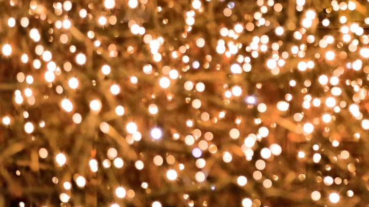 Holiday markets, hoops, and... more parades: Find some fun this weekend