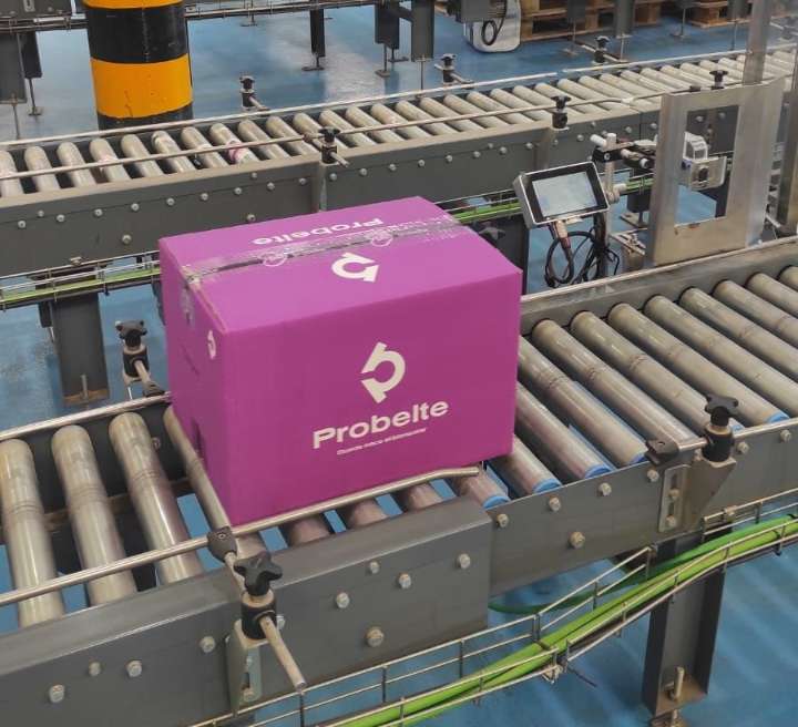 Empresas | Las filiales de Probelte disuelven su consejo de administración con la venta al fondo Ambienta