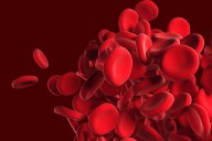 Shining Light on How Protagonist, Takeda Drug Brings Treatment of a Rare Blood Disease Out of the Dark Ages