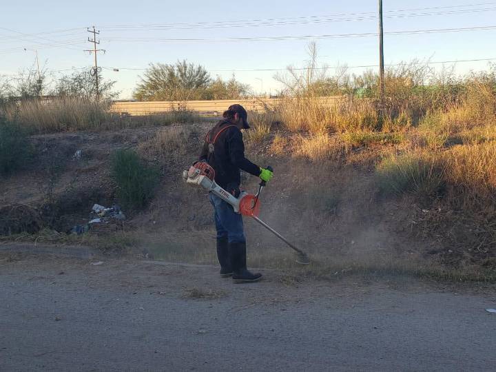 Responden a necesidades del municipio