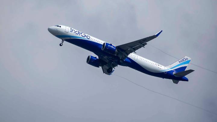 Airlines to outline fleet plans to aviation watchdog after IndiGo hit with 10% cut