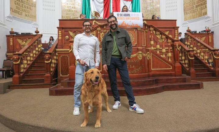 Nace Día de los Seres Sintientes en cumpleaños de perrita Frida