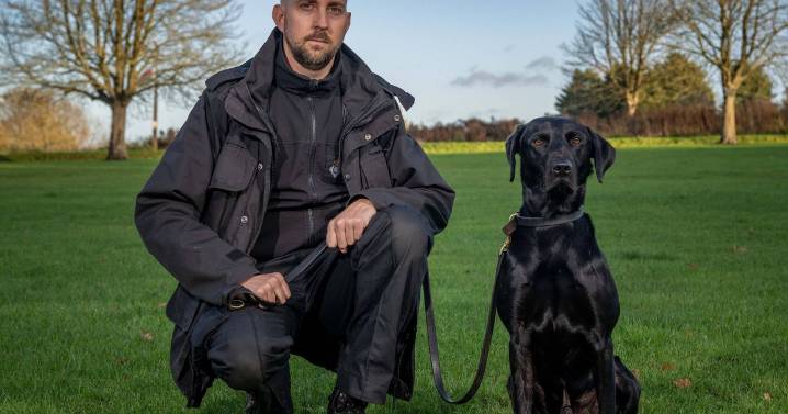 Britain's best prison pooch is a black Lab that can sniff out drugs in a crowd