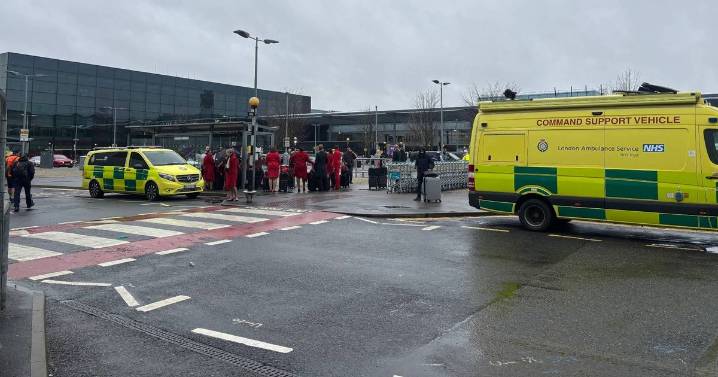 Heathrow pepper spray assault leaves 21 injured including three