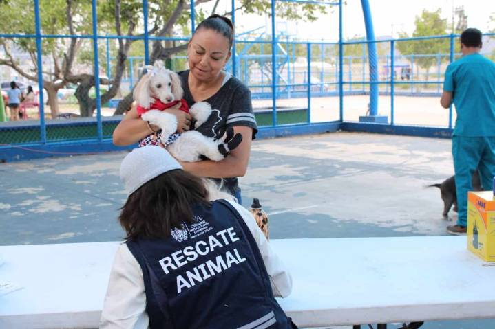 Servicios gratuitos para perros y gatos llevará Municipio a Riberas de Sacramento