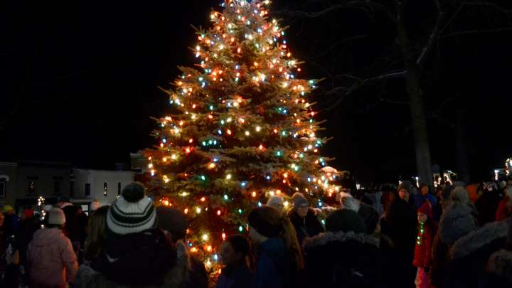 VIDEO: Watch Santa lead the Petoskey Christmas tree lighting