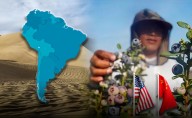El país de América Latina que transformó su árido desierto en proveedora principal de alimentos de EE.UU., China y Europa