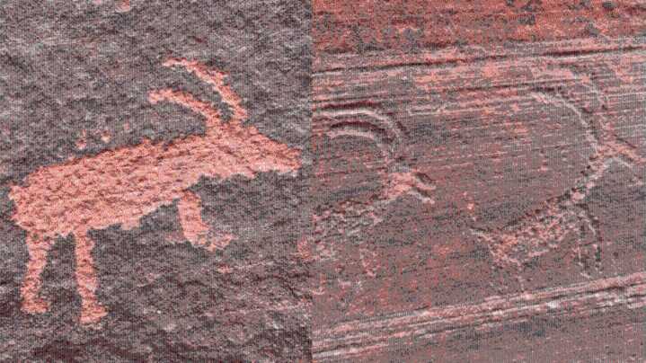 'These places are important': Volunteers protect heritage sites amid ongoing vandalism incidents