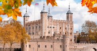 Arrests after custard and apple crumble thrown at Crown Jewels display case