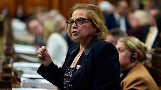 Liberals to open new fast track to permanent residency for 5,000 foreign doctors