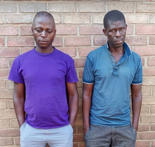 TWO NABBED FOR VANDALIZING ESCOM PROPERTY