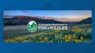 Washington's 'MyWDFW' app available for digital hunting, fishing licenses in 2026