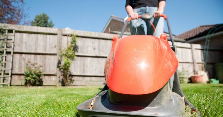 Council earned more than £1m from residents paying for garden waste collections this year