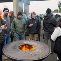 French PM urged to intervene over cow slaughter protests