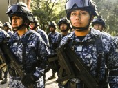 Operación Frontera Norte asegura precursores por 271 mdp en Sinaloa 