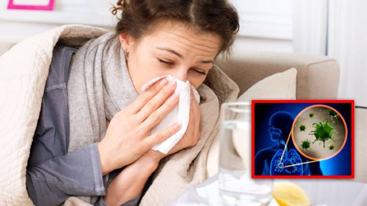 Temporada de frío 2025: no es lo mismo resfriado que influenza; estas son las claves
