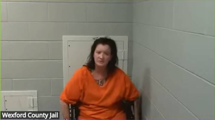 Michigan woman accused of cutting baby from daughter requests jail release to care for son