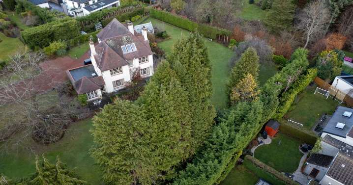 Pensioner told to trim 40ft hedge that "ruined neighbours' lives" at £1.5m home