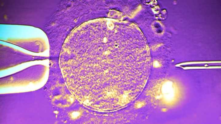 Sperm Donor With Rare Cancer-Risk Gene Fathers Nearly 200 Children