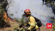 Incendios forestales: Revisa ACÁ las últimas alertas y avisos de evacuación