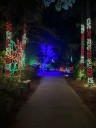 Tampa Bay on a Budget: Fun ideas for things to do for $20 or less in December