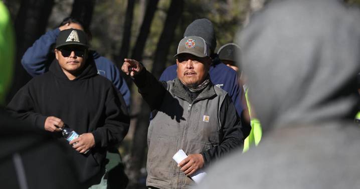 Forest health meets archaeological preservation on Mormon Mountain