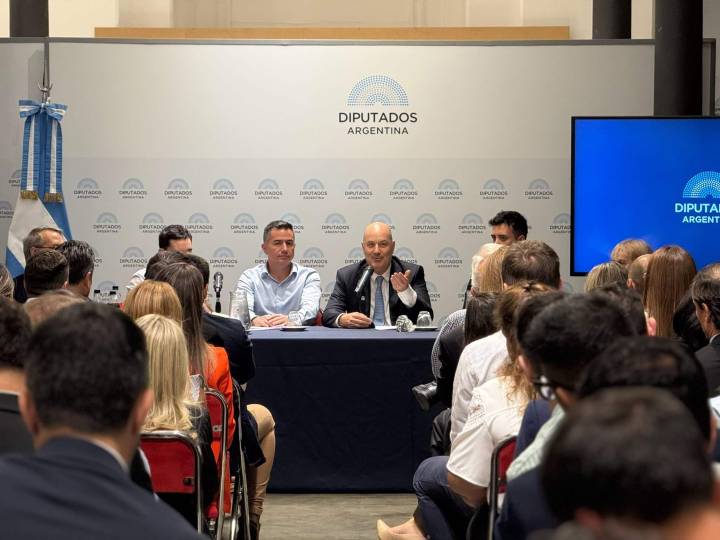 Federico Sturzenegger dio una clase a diputados: qué les contó de cara a las sesiones extraordinarias