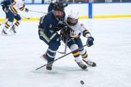 Section III boys hockey stats leaders by division (through Dec. 9)