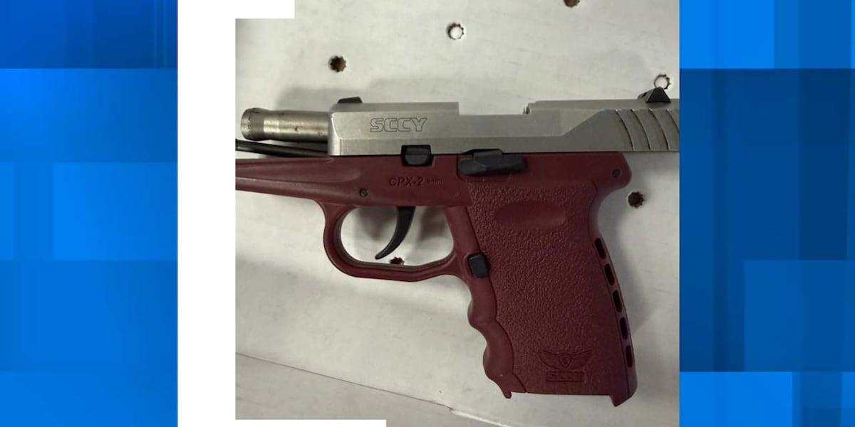 Underage girl charged with carrying handgun, North Charleston Police say