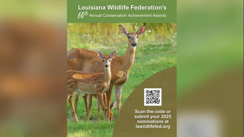 Nominations open for Louisiana Wildlife Federation's 60th annual Conservation Achievement Awards