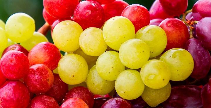 Pequeña y poderosa; los beneficios ocultos de la uva