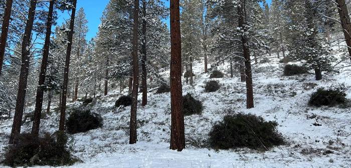 County to Conduct Pile Burns Southwest of Bend