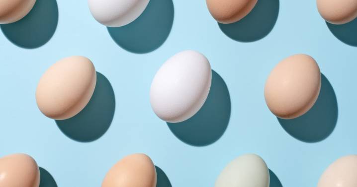 Egg Recall in California Due to Salmonella Risk: Full List