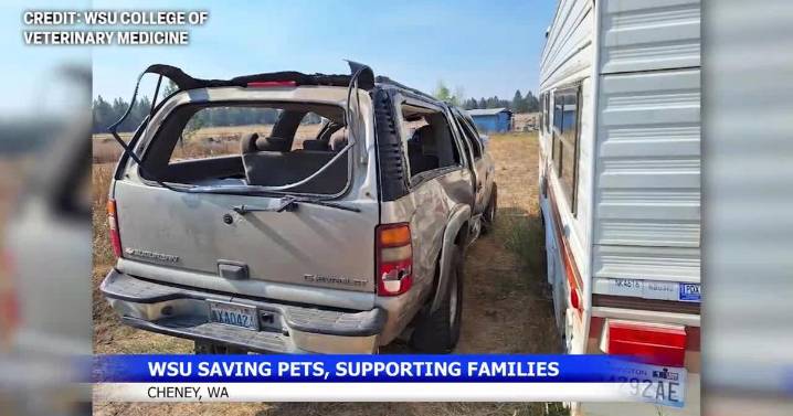 WSU veterinary program seeks community support for pet aid fund