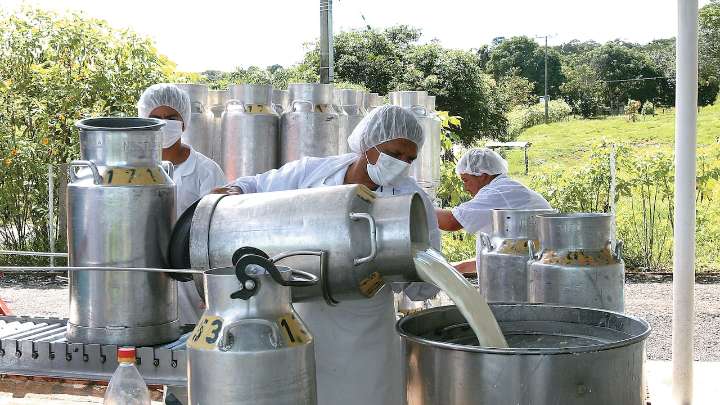 La SIC ratifica sanción a compañías lecheras por adición de lactosuero