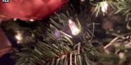 How to keep Christmas trees festive instead of flammable