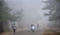 Cold wave worsens in Odisha, Semiliguda shivers at 3.5°C