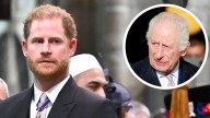 Expert Says Meeting Between King Charles and Sussex Children Remains Unlikely