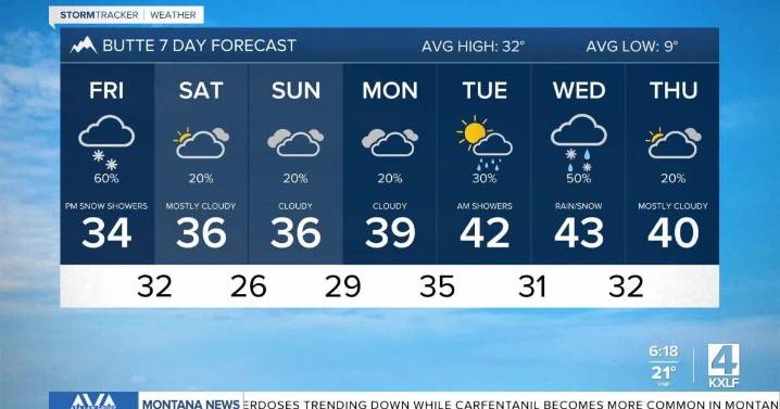 Friday Headlines: Crosswalk death, Christmas trees, snowplowing changes