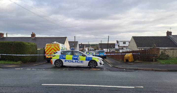 Pensioner dies after being hit by car in Leadgate as woman arrested