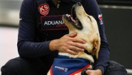 Aduanas inicia entrenamiento neurosensorial a nueva camada de cachorros de Los Andes y suma al braco alemán a su equipo