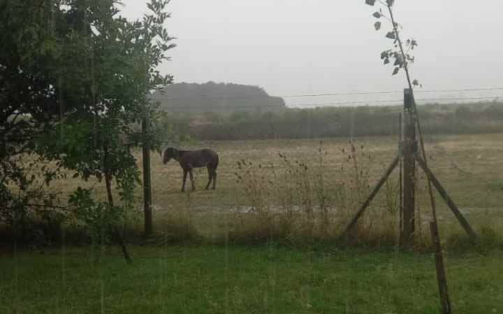Se esperan lluvias “muy abundantes” sobre gran parte de la zona agrícola durante los próximos días