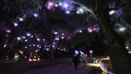 Enchanted Airlie gives Wilmington a dazzling holiday…