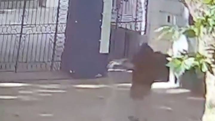 Todo por la final: tiraron sal en la entrada del estadio de Gimnasia previo al duelo con Estudiantes