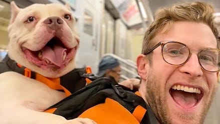 He carries shelter dogs in a backpack to get them adopted