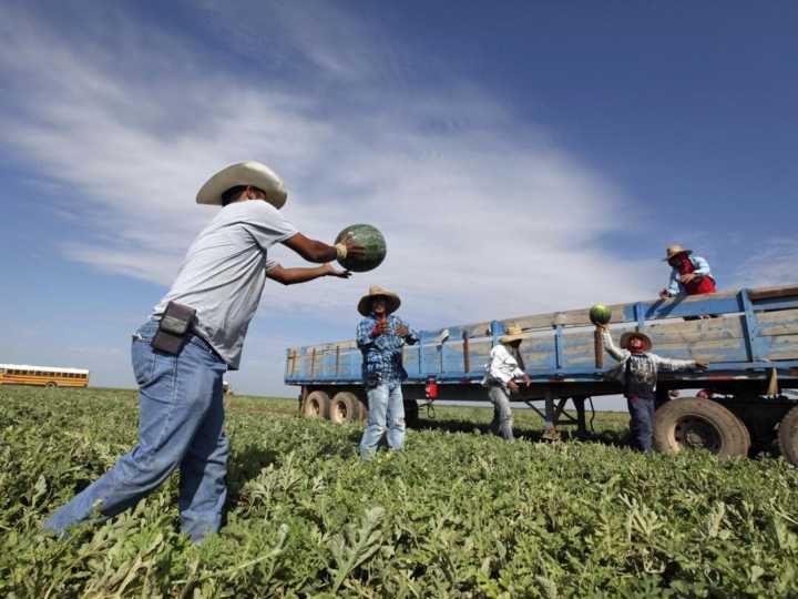 La regla que entró en vigor y facilitará la visa de algunos trabajadores para entrar a Estados Unidos