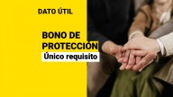 Bono de Protección: El único requisito que debes cumplir para recibirlo