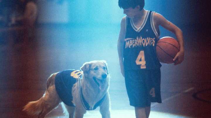 'Air Bud' gets another life through Missouri redistricting : NPR