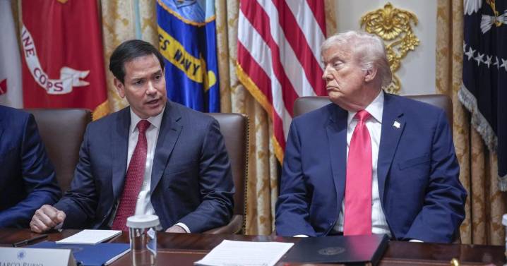 Por qué Trump margina al «radical» gobierno de Sudáfrica del nuevo G20